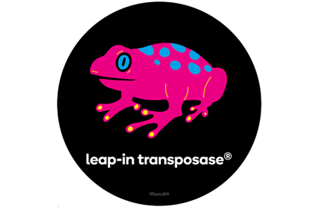 Leap-In Transposase® Platform For Robust Cell Line Development