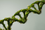 GettyImages-2138730502-dna-with-grass-and-flowers
