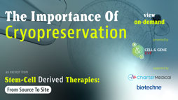 24_04_CGL_StemCell_Webinar_Seg06 24_04_CGL_StemCell_Webinar_Seg06