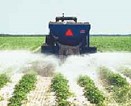 Soil Amendment and Fertilizer Soil Amendment and Fertilizer