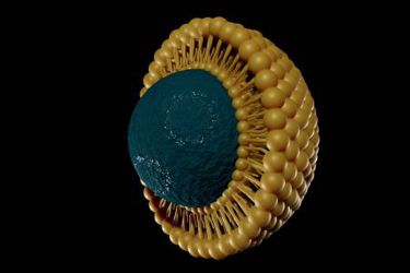 GettyImages-1428557022-Liposome