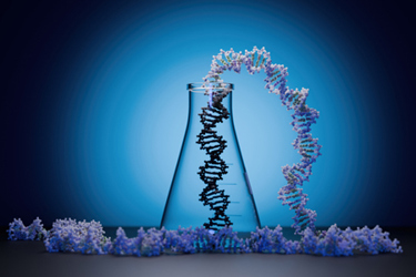 DNA genetic research-GettyImages-2151457031