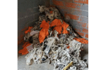 Orange, TX, Eliminates Pump Station Clogs orange,-TX