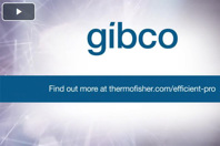 A New Era Of mAb Manufacturing