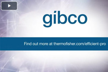 A New Era Of mAb Manufacturing