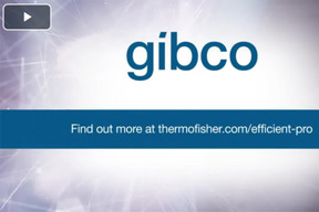 A New Era Of mAb Manufacturing