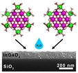 nanocluster