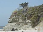 Geotechnical work helps anchor new beach resort Geotechnical work helps anchor new beach resort