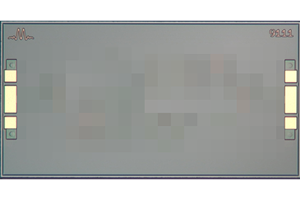 Marki - MFLP-00009CH