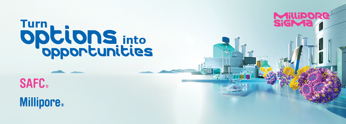 68551_BPO-Hero-Banners-1140x410_MSIG