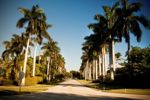 Quattrone Develops Cost-Efficient Stormwater Network Solution For New Housing Complex In Florida GettyImages-184268016