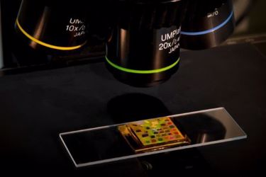 MIT-chip