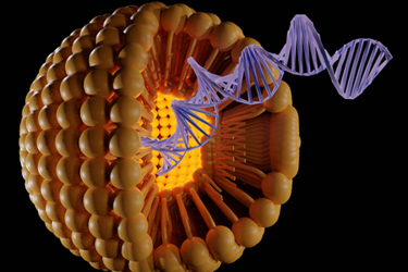 gene therapy-encapsulation of DNA-GettyImages-1409388832