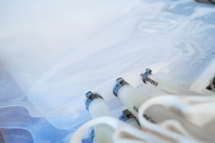 Feature S.U.S seedtrain