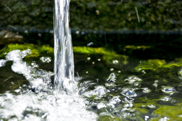 GettyImages-1442124623-surface-water