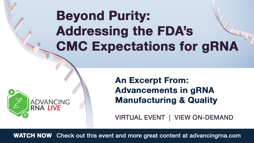 Beyond Purity: Addressing the FDA's CMC Expectations for gRNA