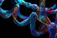 GettyImages-1225652892-amino-acid-chain-3d-render