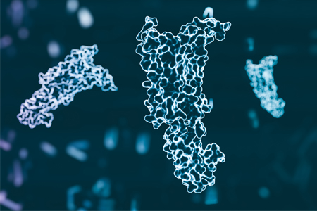 Structural Characterization Of GLP-1 Analogues And Formulations Using ...