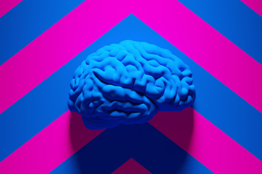 Drug Product Formulation & Process Development: The Must-Have Skills At A Glance Human Brain-GettyImages-1332178520