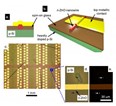 NanowirePR
