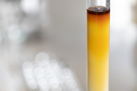 Column Chromatography GettyImages-1026622814