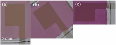 Researchers Devise New Tool To Measure Polarization Of Light