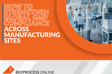 How To Strengthen Global GMP Compliance How To Strengthen Global GMP Compliance