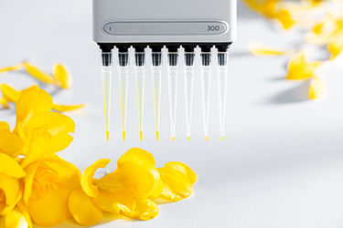 Binding-Comparison-02-en-L-Sartorius